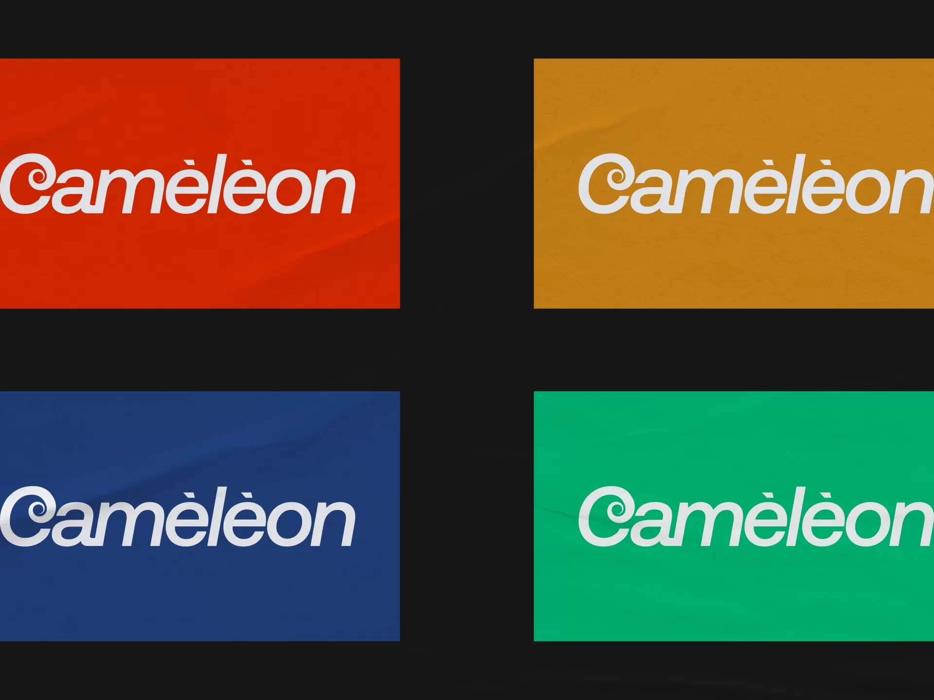 cameleon-final-presentation-06